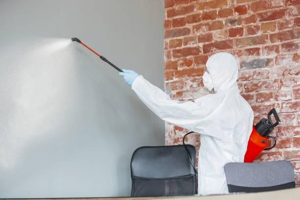 Best Mold Prevention Services  in West Haven, CT