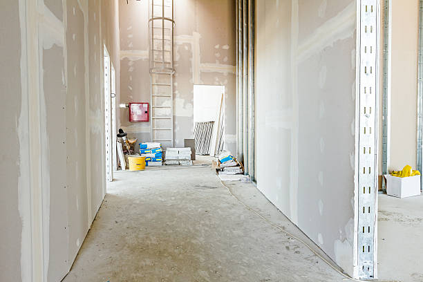 Biohazard Mold Removal in West Haven, CT